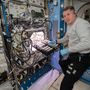2021. július 12-én indult a kísérlet. A képen Shane Kimbrough éppen behelyezi az ISS három termelőberendezése közül az APH-ba a 48 darab chilipaprika magot.