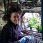 A 65. misszió fedélzeti mérnöke, Megan McArthur a Plant Habitat-04 kísérlet során eltávolítja a növényi törmeléket az űrállomáson növő paprikák alól 2021. szeptember 10-én.