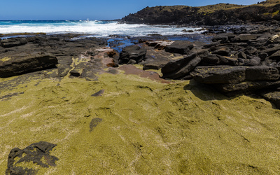 Egy második (titkos) zöld homokos part a  híres Hawaii-i Papakolea Beach közelében.