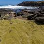 Egy második (titkos) zöld homokos part a  híres Hawaii-i Papakolea Beach közelében.