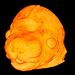3D-kép egy korai állapotban levő egérembrió fejéről, a kép nagyfelbontású elektronmikroszkópiás eljárással (HREM) készült
