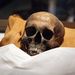 Az 55-ös sírban talált múmia, Havvászék szerint Ehnaton fáraóé