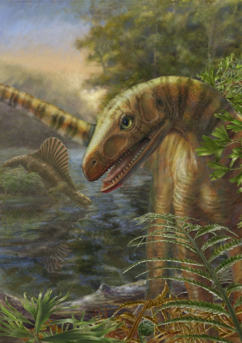 Az Asilisaurus  madárszerű archoszauruszok közt elfoglalt helye

