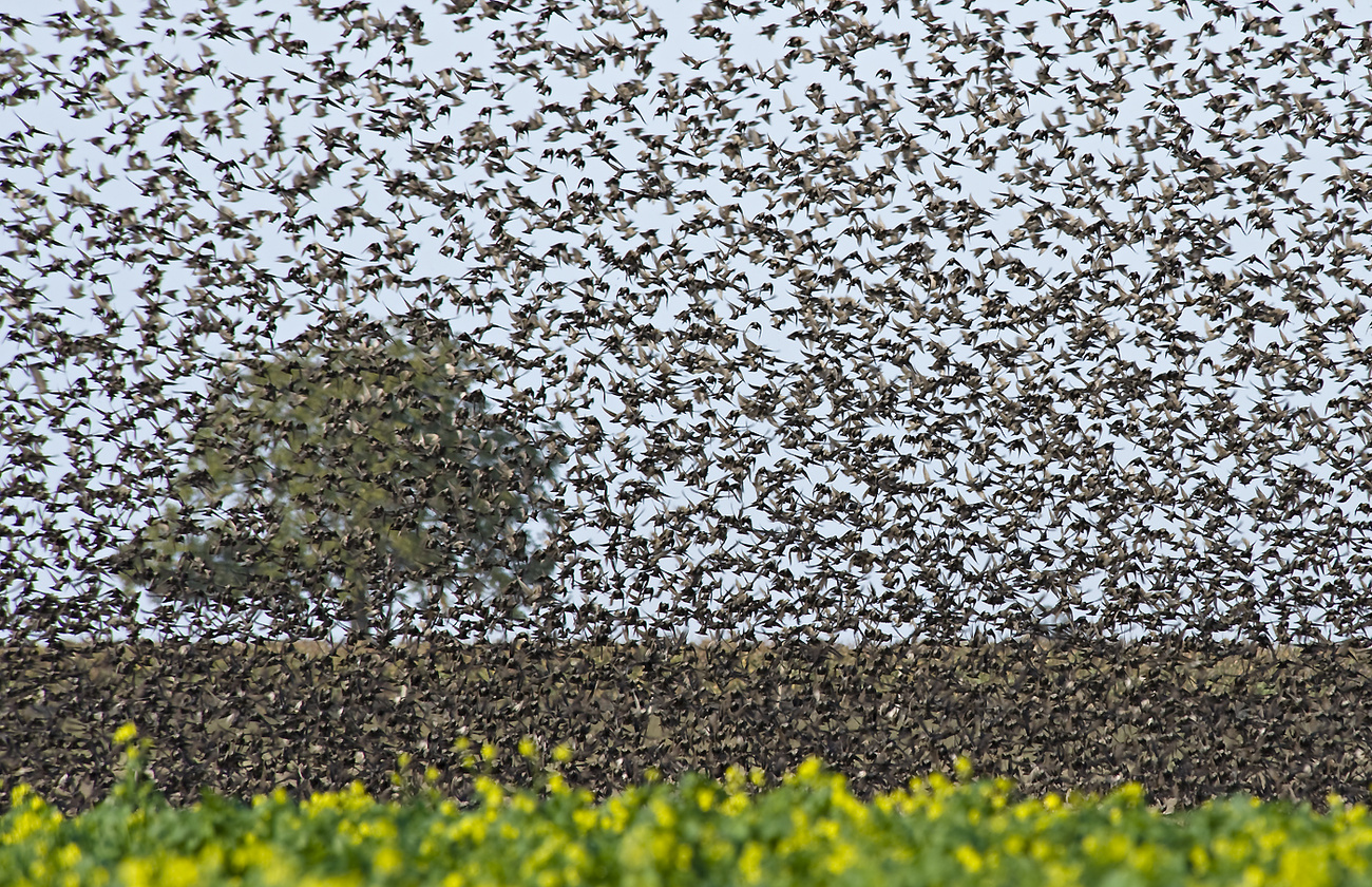 Éjjeli lámpás - XII. kategória: Ifjúsági kategória 3. díj
