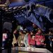 Gyerekek kompenzálják a dinoszauruszok átlagéletkorát