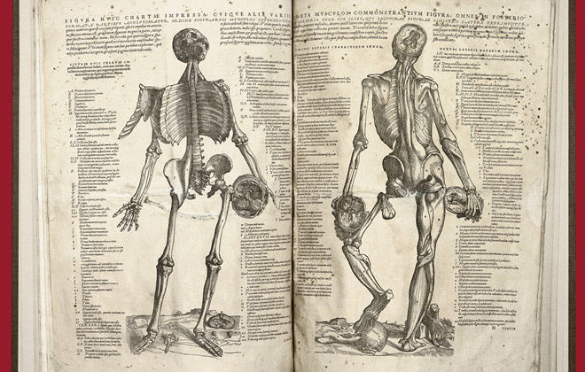 Anatómiai atlasz, 1911-ből. Elsősorban mumifikált testekről készített fényképeket mutat be.
