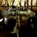 Az eredeti – 3500 éves hajóra – canterburyi régészek a doveri múzeum közelében találtak rá egy ásatáson.