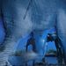 Greg du Toit nyerte az Év Természetfotósa címet a brit Természettudományi Múzeum éves pályázatán. A fotós a botswanai Észak-Tuli-i Vadvédelmi Területen készítette ezt a kísérteties hangulatú fotót egy forrásnál pihenő elefántcsordáról. A hosszú záridővel készült felvételen egy bébielefánt sétál át a kamera előtt. Greg tíz éve foglalkozik elefántok fotózásával. Kapcsolódó cikkünket a linkre kattintva olvashatják!