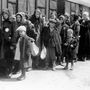 Kis- és nagyobb magyar zsidó gyerekek, lányok, asszonyok érkeznek Auschwitzba. Nagy részük néhány órával később már halott volt. Azok, akik túlélték a háromnapos utat, és nem fulladtak meg a teljesen túlzsúfolt marhavagonokban, erre a 