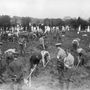 Ír katonák sírokat ásnak a Lusitania-katasztrófa áldozatainak egy queenstowni temetőben.