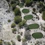 Kertész gondozza az egyik helyi golfpályát Palm Springsben