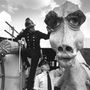1975-ben a Hemel Hempstead London tűzoltói egy női Nessie-t építettek papírból és olajoshordókból, hogy előcsalják vele a rémet a tó mélyéről. Nessie 10 méter hosszú, 4 méter magas és 3 méter széles, párzási időszakban felerősített hangon bőg, füstkarikákat ereget az orrából, és van rajta egy rejtett kamera, amivel rögzíthető, ahogy a párzó hím magáévá teszi a papír-olaj monstrumot. Egyelőre egy képkocka hüllőpornót se forgattak vele, tehát vagy a szörny nem létezik, vagy nem tetszik neki a nőstény, vagy a szörny nem hím, hanem heteroszexuális nőstény.