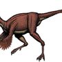 Az Anzu wyliei tojásrakó dinoszaurusz volt, a maradványait Észak-Dakotában találták meg. A 3,5 méter hosszú, 1,5 méter csípőmagasságú állat testtömege 200-300 kiló lehetett. A tollas dinoszaurusz a nevét részben Anzuról, a mezopotámiai tollas istenről, részben Wylie J. Tuttle mecénásról kapta - ne tévesszen meg senkit, hogy kiejtve majdnem úgy hangzik, mint a Liza Minnelli.