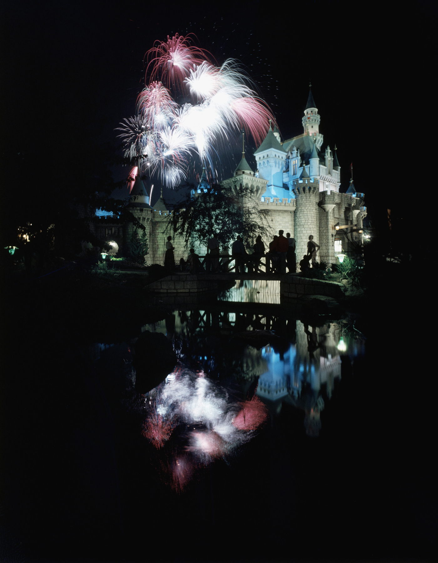 A kaliforniai, eredeti Disneylandben megnyitása óta több mint 650 millió látogató járt. Van olyan vidámpark, amire többen kíváncsiak már éves szinten, de az eredeti Disneyland évi több mint 15 millió látogatóval még mindig a világ egyik legkeresettebb látványossága.