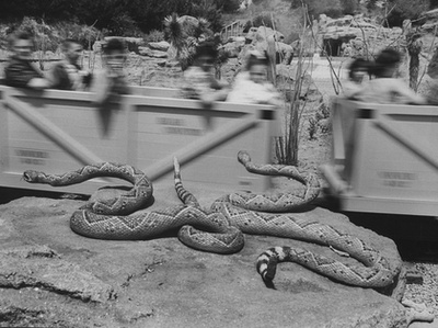 A kaliforniai, eredeti Disneylandben megnyitása óta több mint 650 millió látogató járt. Van olyan vidámpark, amire többen kíváncsiak már éves szinten, de az eredeti Disneyland évi több mint 15 millió látogatóval még mindig a világ egyik legkeresettebb látványossága.