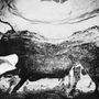 A Nagy Fekete Bika, a valaha talált legnagyobb barlangrajz a Lascaux-barlang falán. A gombásodás előtt a barlang klímája számos rajzot szokatlanul ép állapotban őrzött meg.