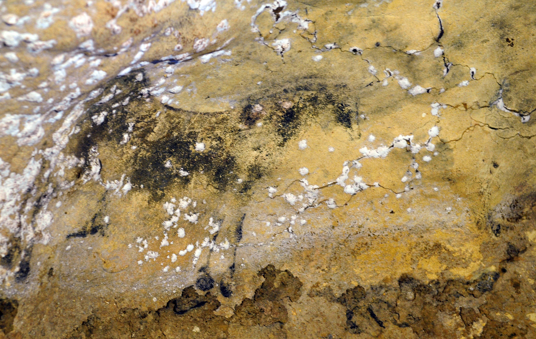 Restaurátorok állítják helyre a hányattatott sorsú barlang évezredes rajzait.