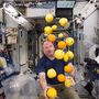 Gyömölcsökkel játszik az űrállomáson Scott Kelly