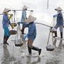 Vietnám számára fontos a sóbányászat. A képen a sóföldeken dolgozó nők cipelnek sóval teli bödönöket.
