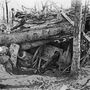 Német ágyú szorult a kidőlt fák alá a louage-i erdőben. A kép 1916. október tizedikén készült.