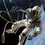 White volt az első amerikai, aki űrsétát hajtott végre. 1965. június 3-án kilépett a Gemini 4 űrhajóból és húsz percet töltött lebegve a világűrben.