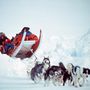 1986-ban Will Steger kutyaszánnal, légi utánpótlás nélkül ért el az Északi-sarkig.