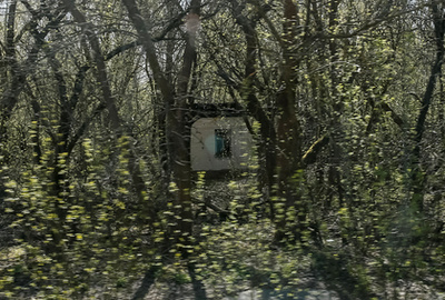 Elhagyatott ház az út mellett, az erőmű melletti erdőben.