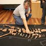 Először egy bordacsontot találtak az ősmaradványgyűjtők