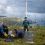 Craig Jackson, Kristine Ulvund, Kang Nian Jap természetvédelmi biológusok és Marianne W. Furnes állatorvos csapdába ejtik a sarki róka kölyköket, hogy orvosi vizsgálatot végezzenek a Norvég Természetkutató Intézet (NINA) által működtetett sarki róka tenyészállomáson, Oppdal közelében, Norvégiában, 2023. július 26-án