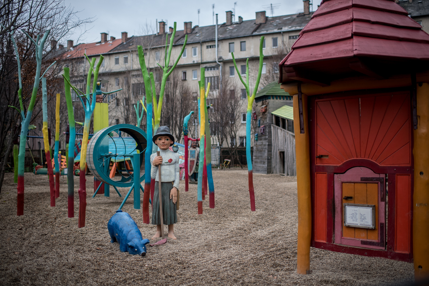 Ez a fenyő az új park egyik éke lesz