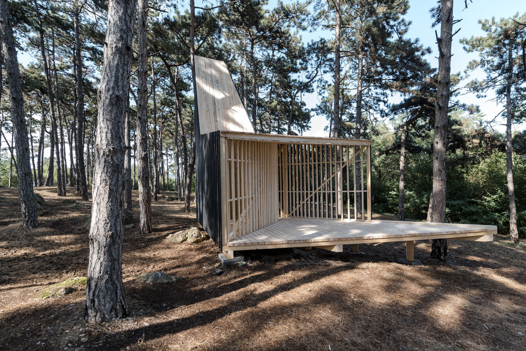 A Hello Wood tábor központja Tokajban
